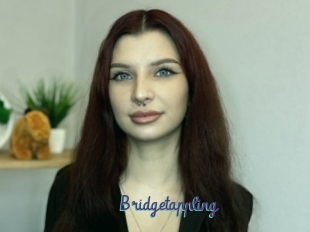 Bridgetappling