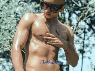JoshuaFox