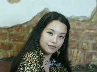 ZoeRice